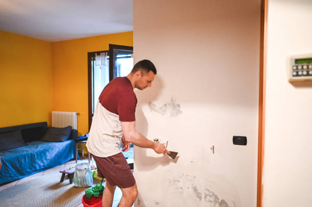 Best Certified Mold Removal  in Munford, AL